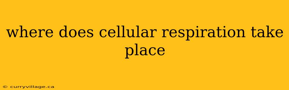 where does cellular respiration take place