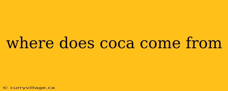 where does coca come from