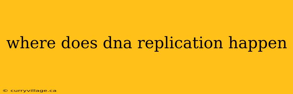 where does dna replication happen