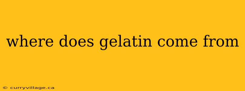 where does gelatin come from