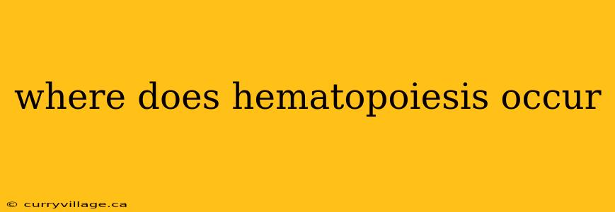 where does hematopoiesis occur