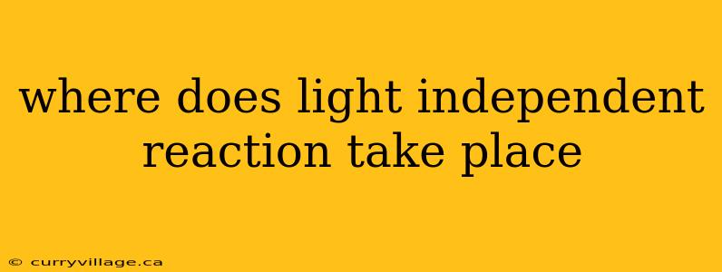 where does light independent reaction take place