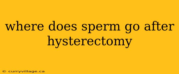 where does sperm go after hysterectomy