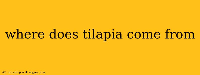 where does tilapia come from