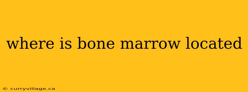 where is bone marrow located