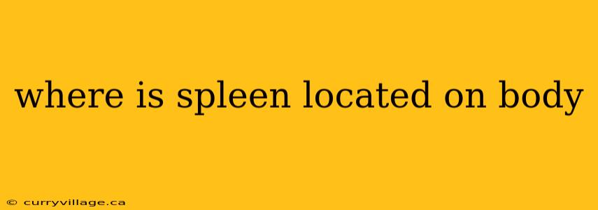where is spleen located on body