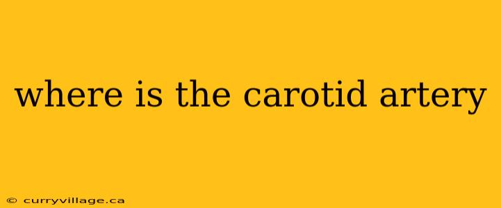 where is the carotid artery
