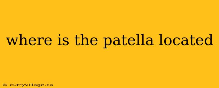 where is the patella located