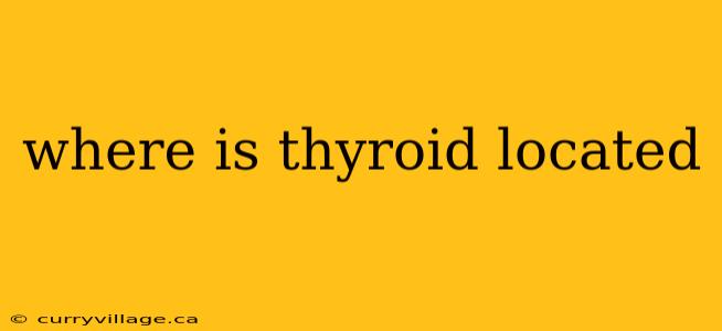 where is thyroid located