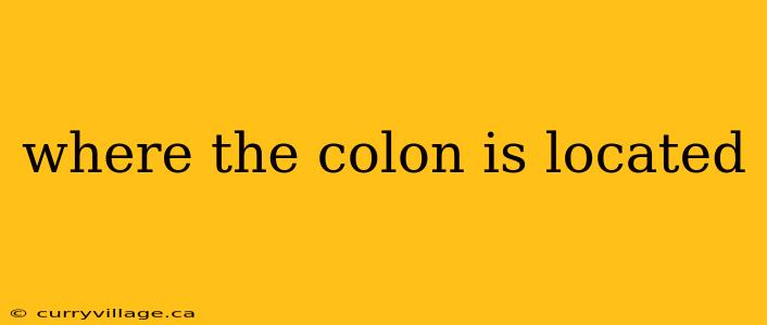where the colon is located