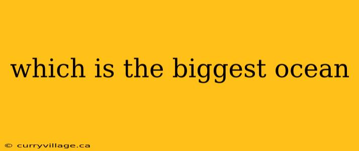 which is the biggest ocean