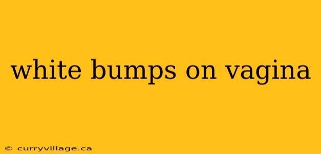 white bumps on vagina
