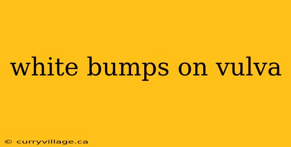 white bumps on vulva