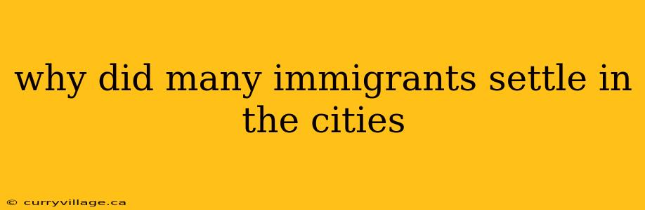 why did many immigrants settle in the cities