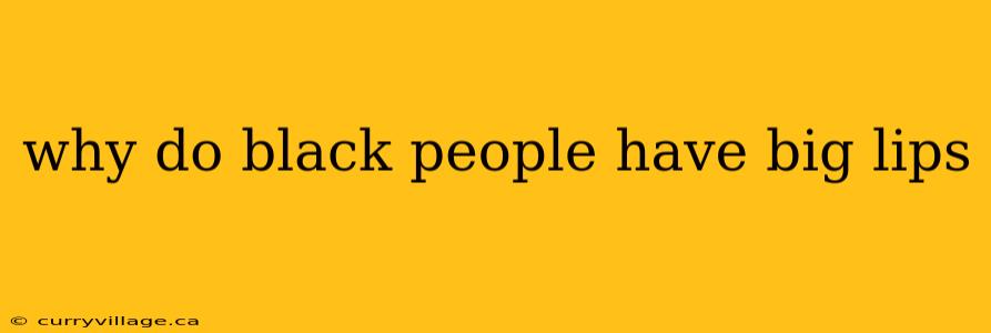 why do black people have big lips