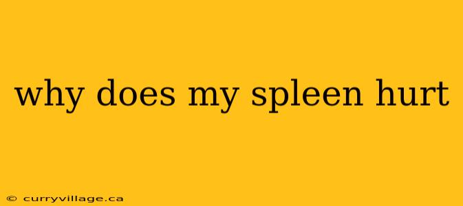 why does my spleen hurt