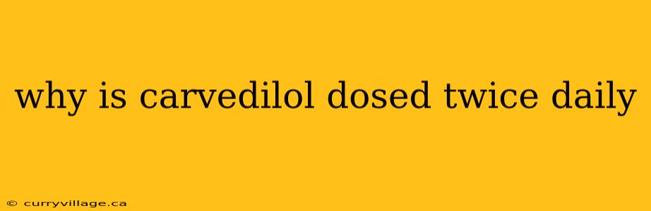 why is carvedilol dosed twice daily