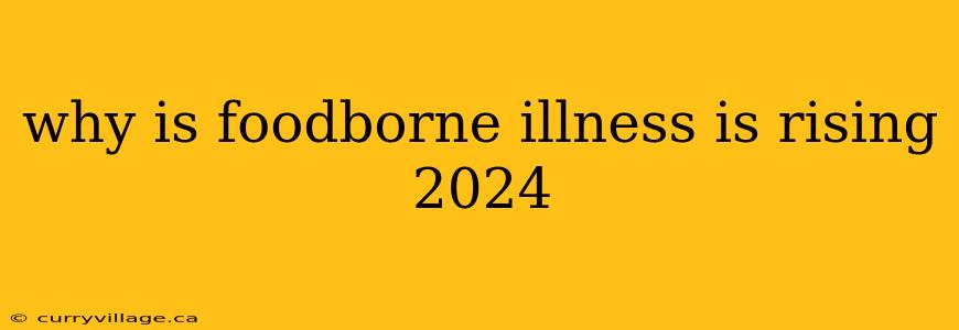 why is foodborne illness is rising 2024