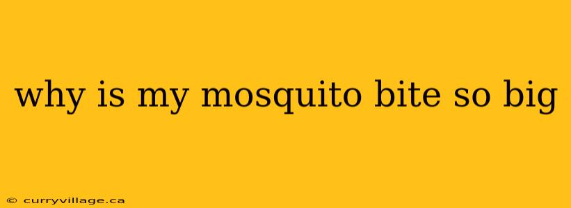 why is my mosquito bite so big