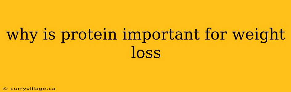 why is protein important for weight loss