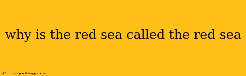 why is the red sea called the red sea