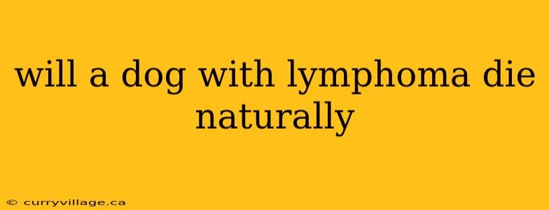 will a dog with lymphoma die naturally