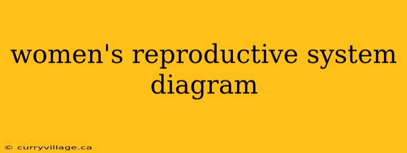women's reproductive system diagram