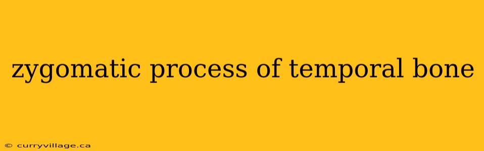 zygomatic process of temporal bone